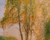 卡尔 拉尔森 : Under the birches